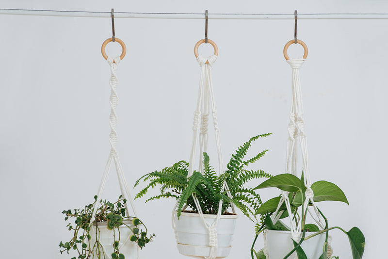 macrame hanger