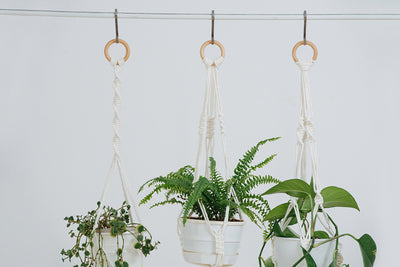 How To Make A Macrame Plant Hanger In 5 Easy Steps