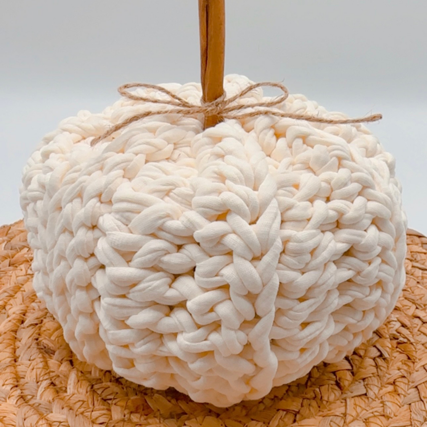 Crochet Pumpkin DIY Kit by Ganxxet x LilyBirdCrochet