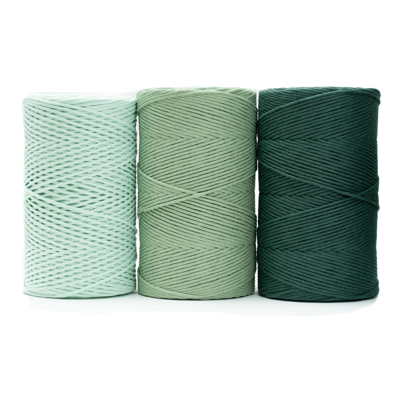 Curated Bundle - Mint, Cactus & Deep Green